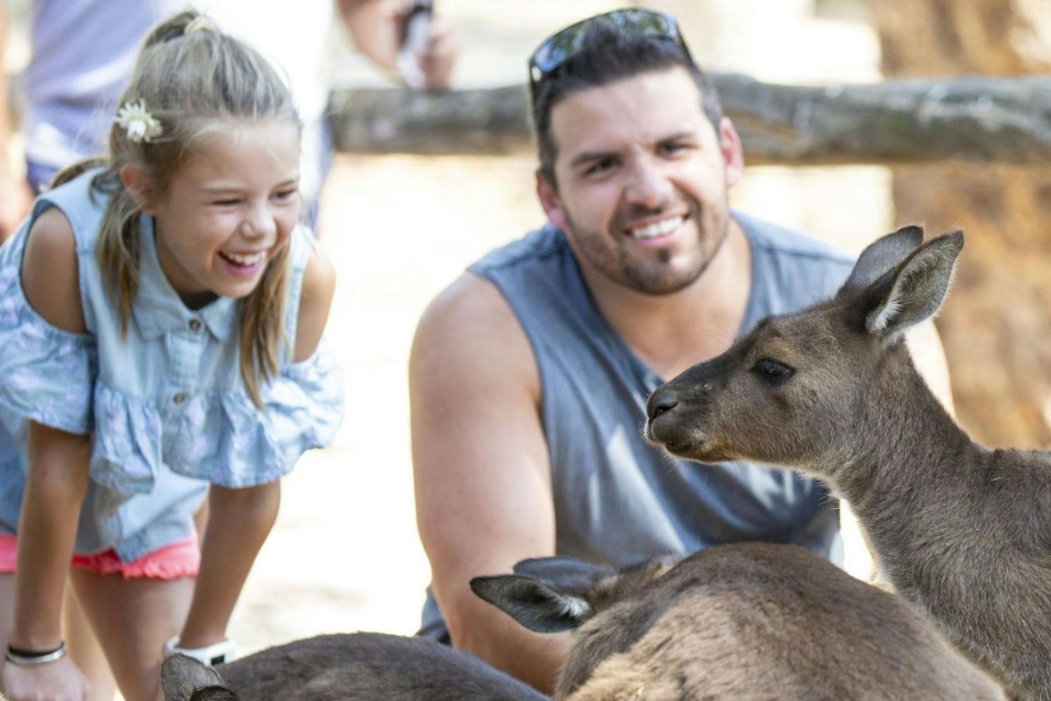 Best time to visit Australia for Wildlife Experiences