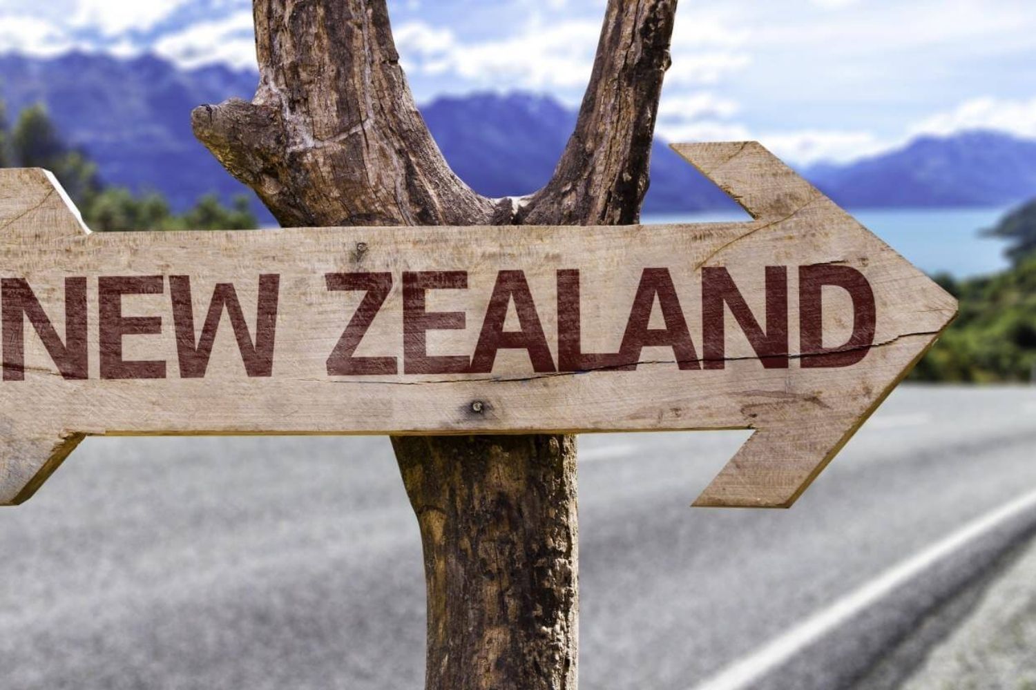 New Zealand Visa Requirement for Resident