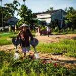 Countryside scenery near Hoi An, Vietnam